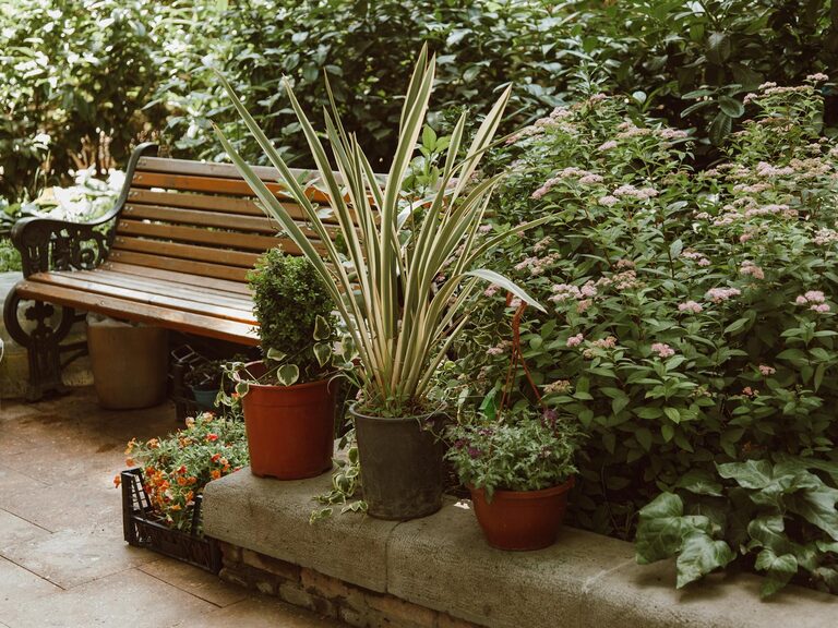 Tips for Creating a Relaxing Home Garden Space